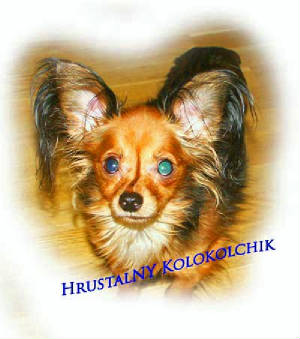 niki-huvud-fram-500.jpg