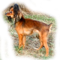 gloria-gras-sid-200.jpg