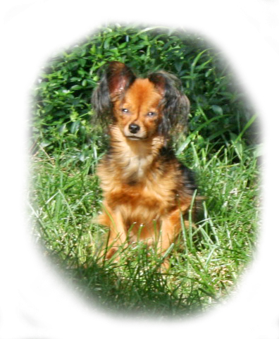 niki-sitt-grass.jpg