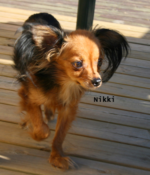 nikki-travar-altan.jpg